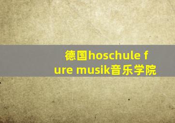 德国hoschule fure musik音乐学院